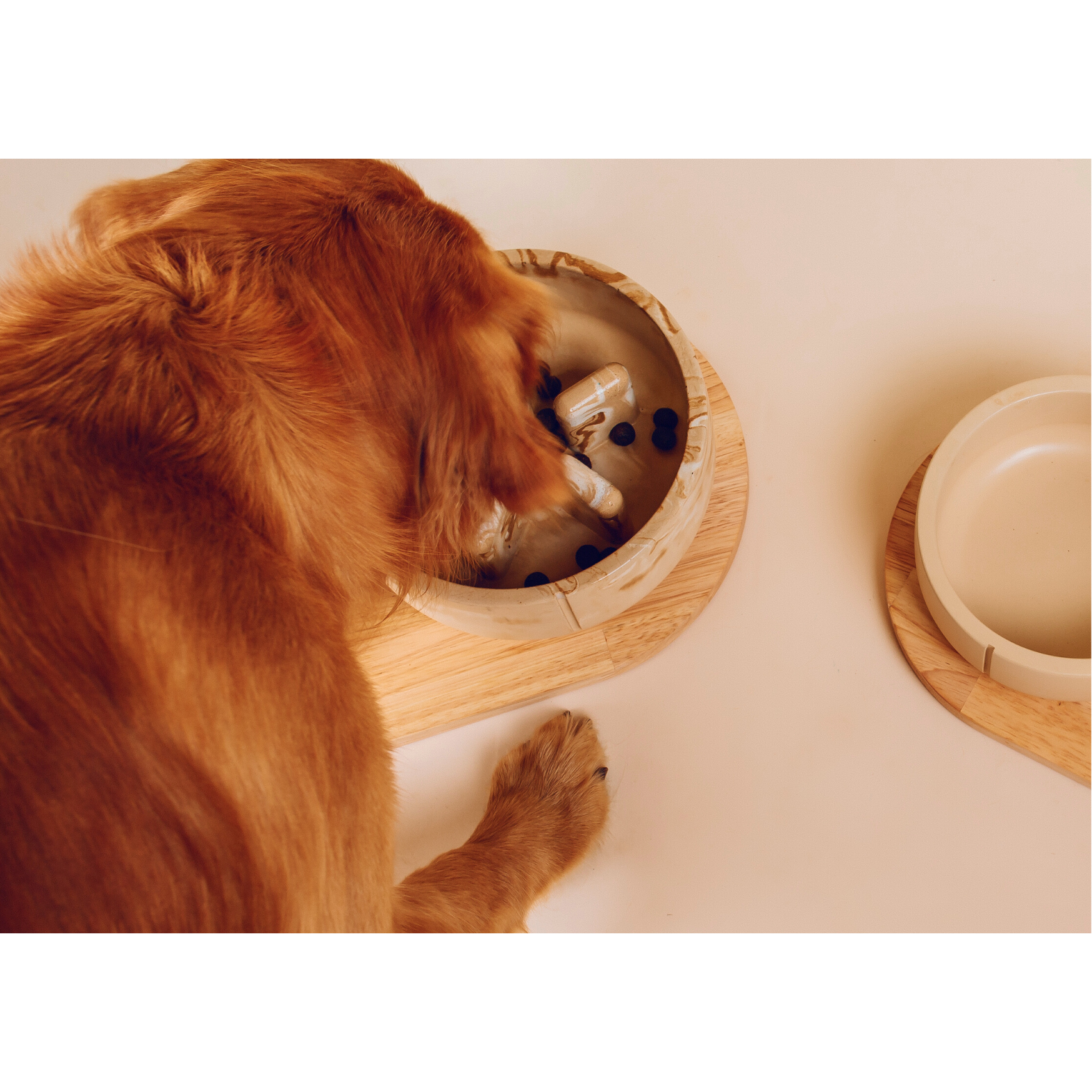 Classic Feeder Bowls Camel Small Slow