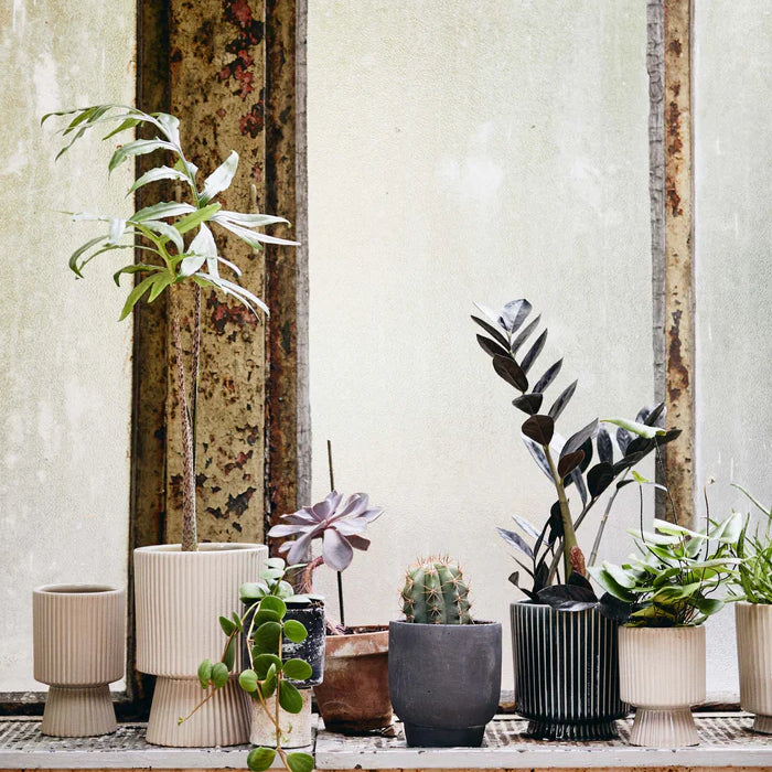 Mull Bloempot Sand L Bloempot / Vaas