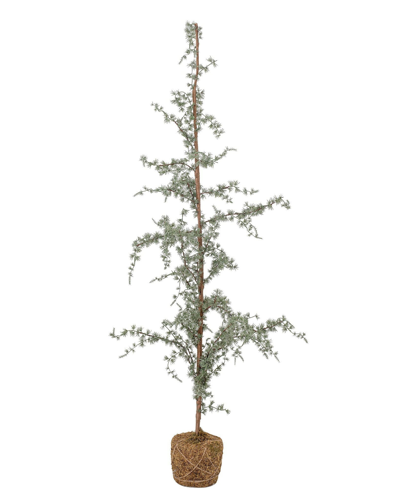 Kerstboom Vita Groot