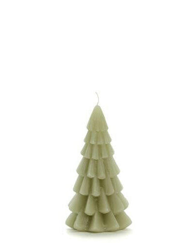 Kerstboom Eucalyptus Klein Kaars