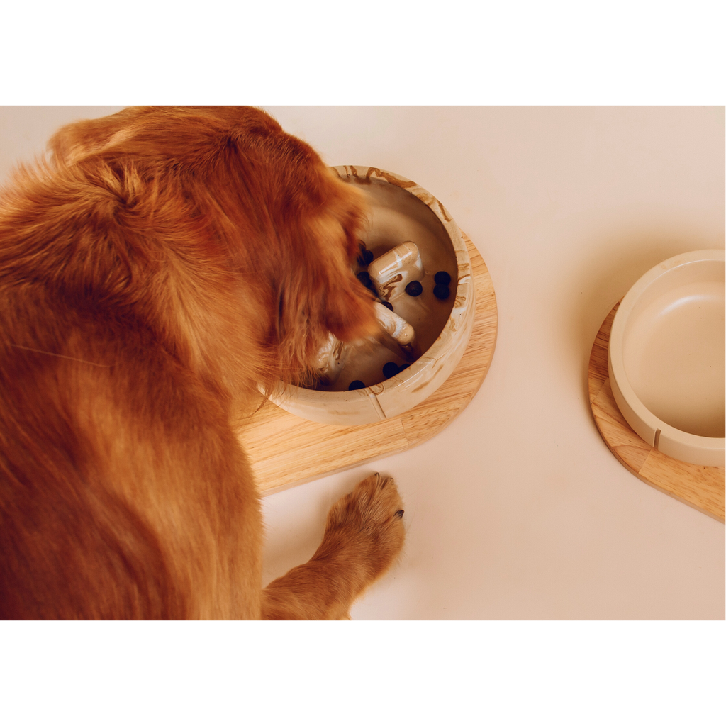 Classic Feeder Bowls Camel Marble Large Slow