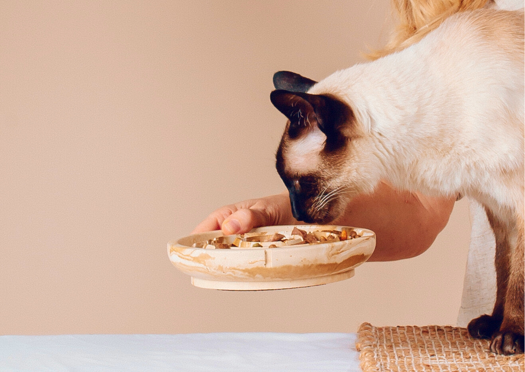 Classic Feeder Bowls Camel Marble Small Slow