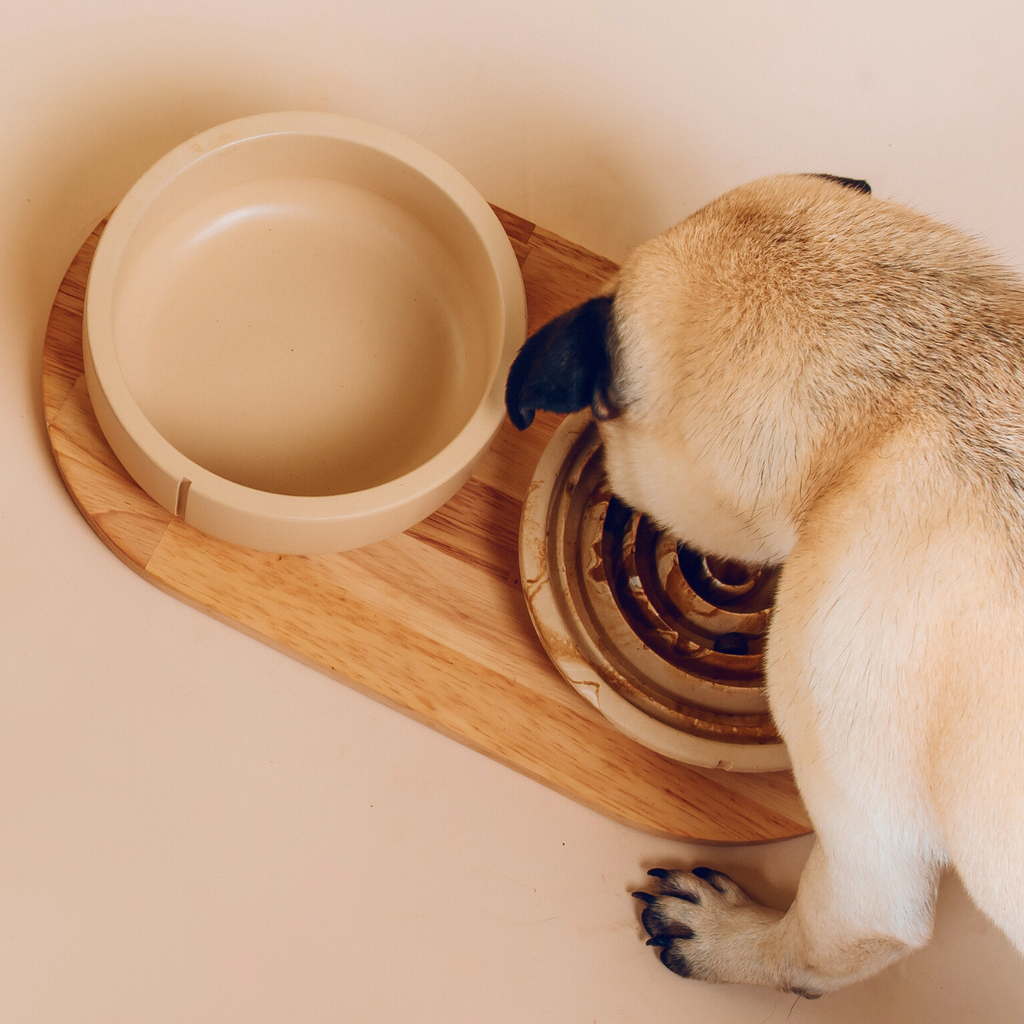 Slow Feeder Bowls Camel Small