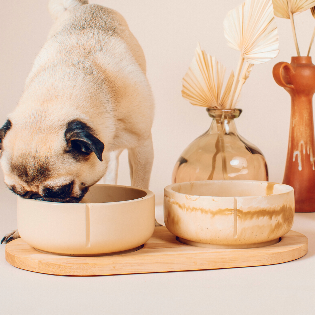 Slow Feeder Bowls Camel Large