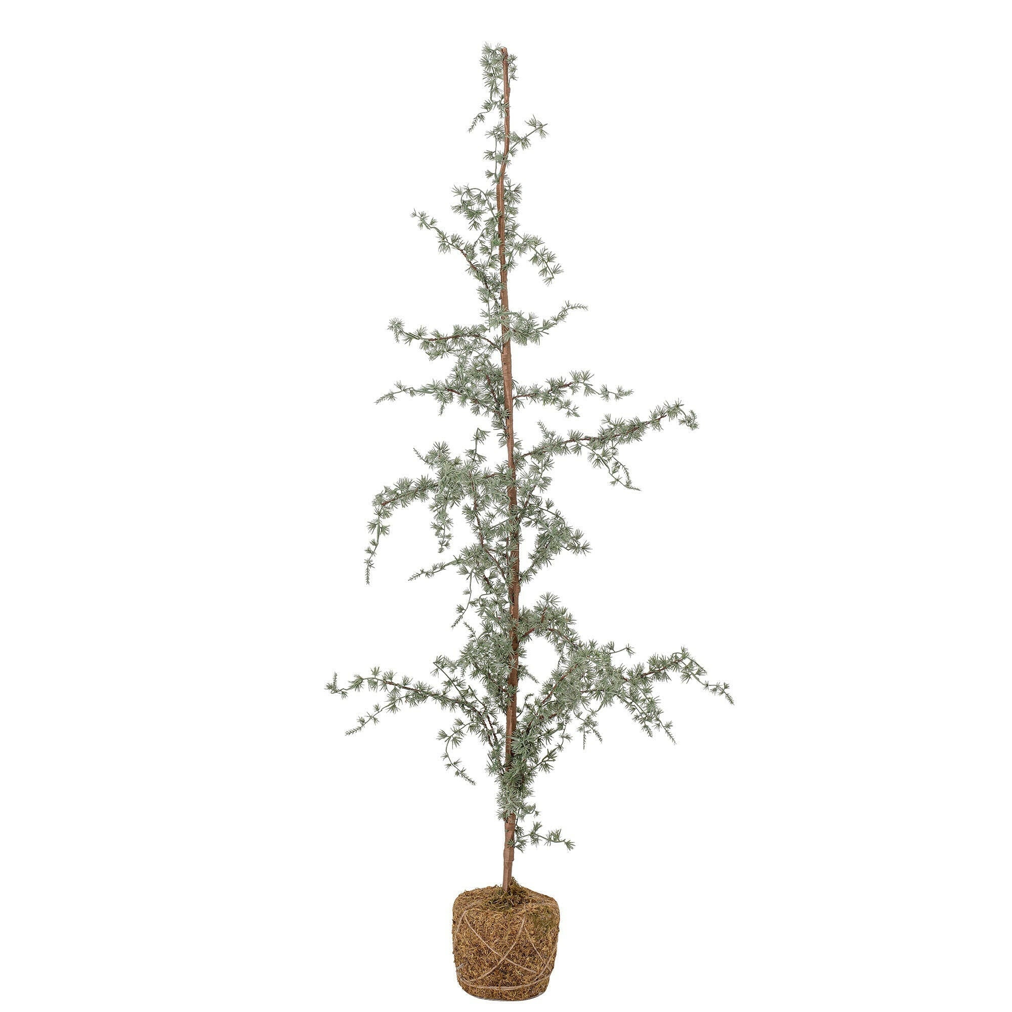 Kerstboom Vita Groot