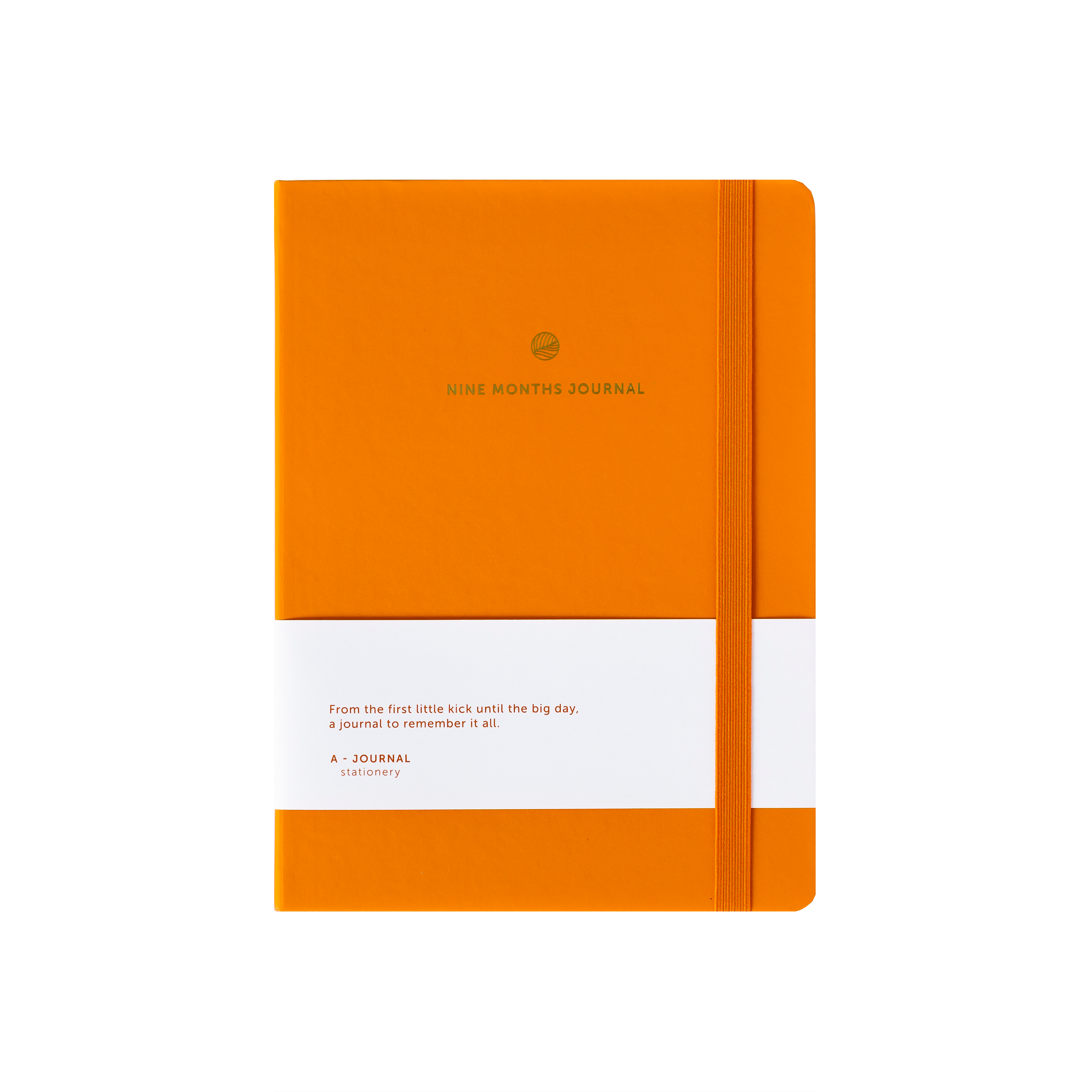 Nine Months Journal