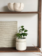 Char Wanddecoratie
