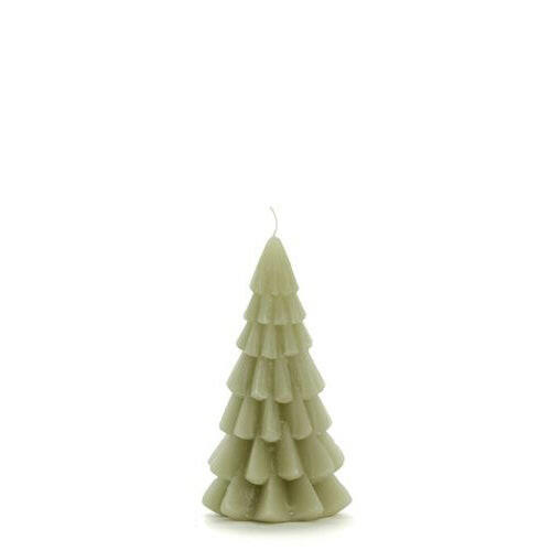Kerstboom Eucalyptus Klein Kaars