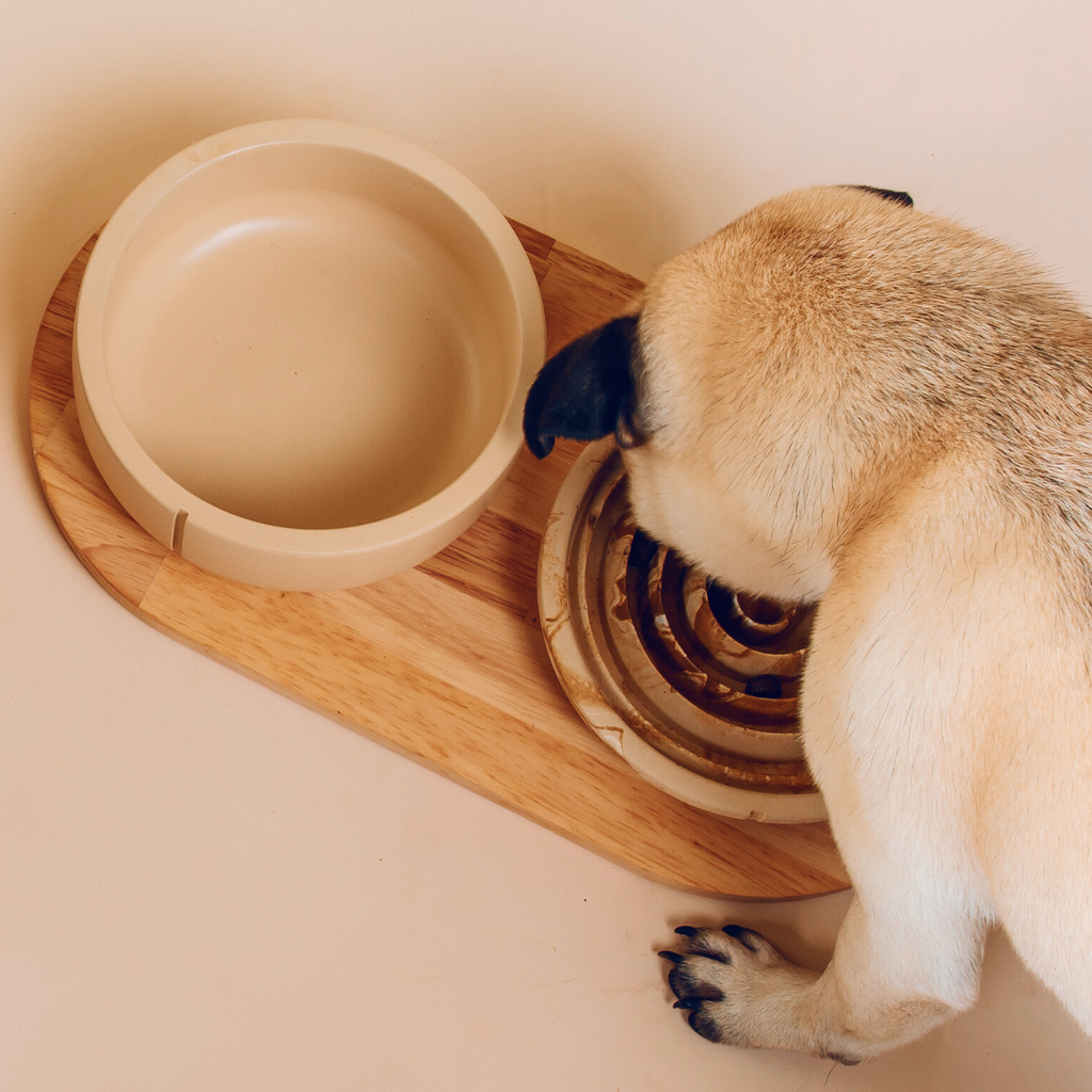 Classic Feeder Bowls Camel Marble Small Slow