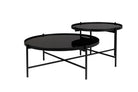 Coffee Table Li